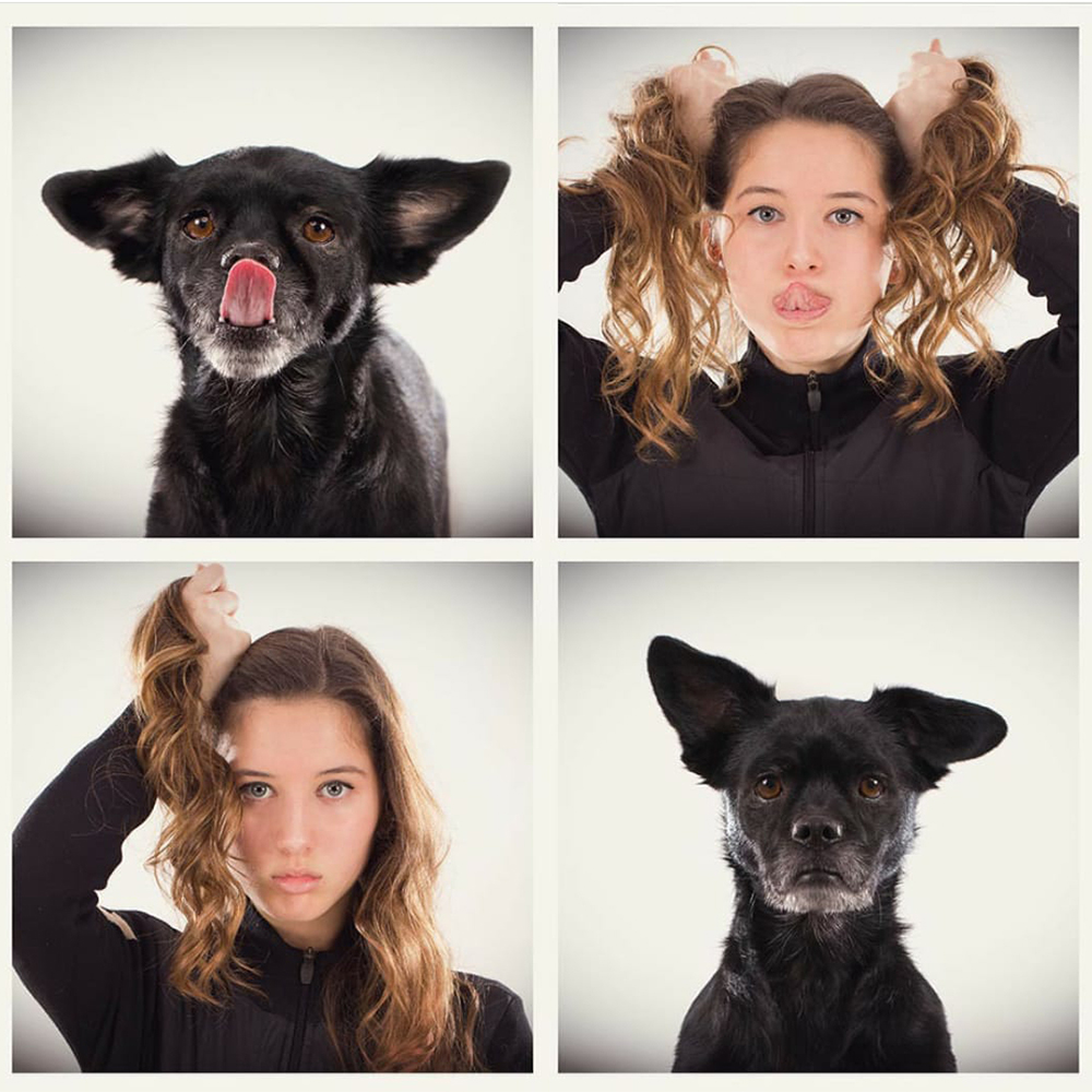 DOGS&OWNERS PROJECT